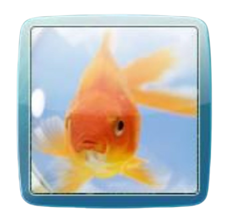 bibspace